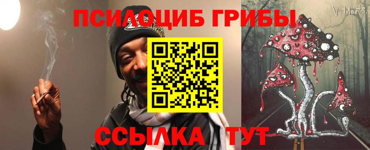 Псилоцибиновые грибы мицелий Аша